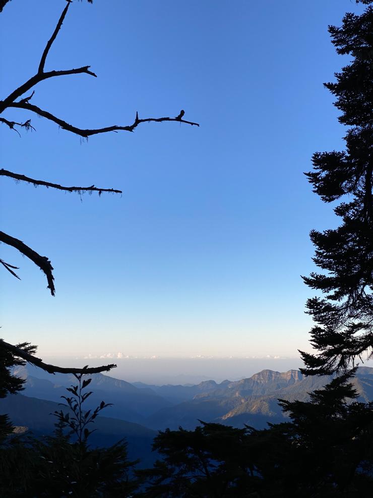 西峰周圍滿佈高聳筆直鐵杉純林，這是唯一展望點
