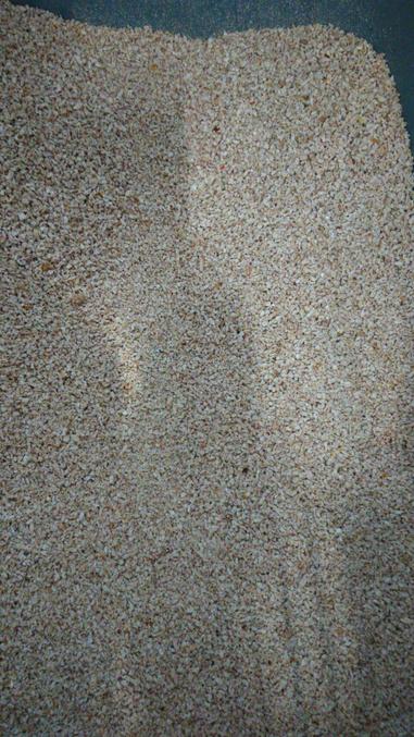 愛貓的你 買對貓砂了嗎 貓砂使用經驗分享 方格子 愛貓的你 買對貓砂了嗎 貓砂使用經驗分享 方格子