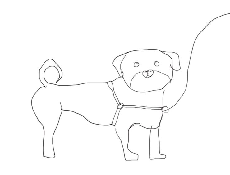 前扣式胸背,就是扣環連接牽繩是在前胸位置,設計上也會壓迫到前肢、肩關節位置,是一款不太舒適的胸背