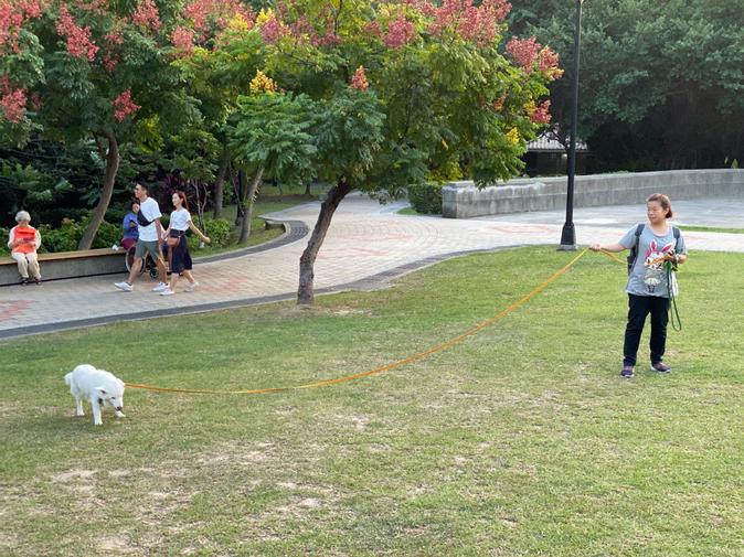 優雅散步~長牽繩使用方法