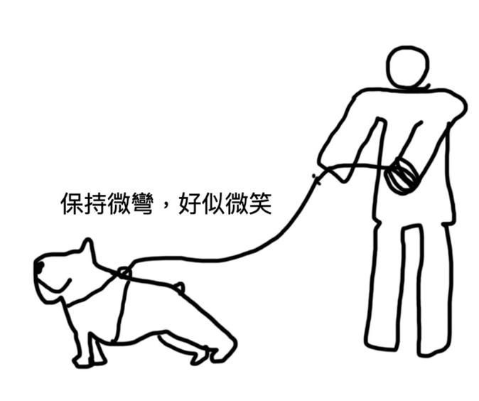 雙手並用,保持狗狗跟我們之間的牽繩是鬆鬆的。讓牽繩呈現微彎。