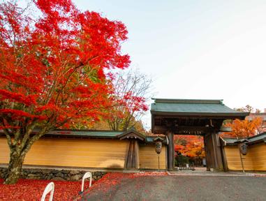 高野山宿坊 路過外面的本覺院 普賢院 天德院 蓮花院 南院 方格子 高野山宿坊 路過外面的本覺院 普賢院 天德院 蓮花院 南院 方格子