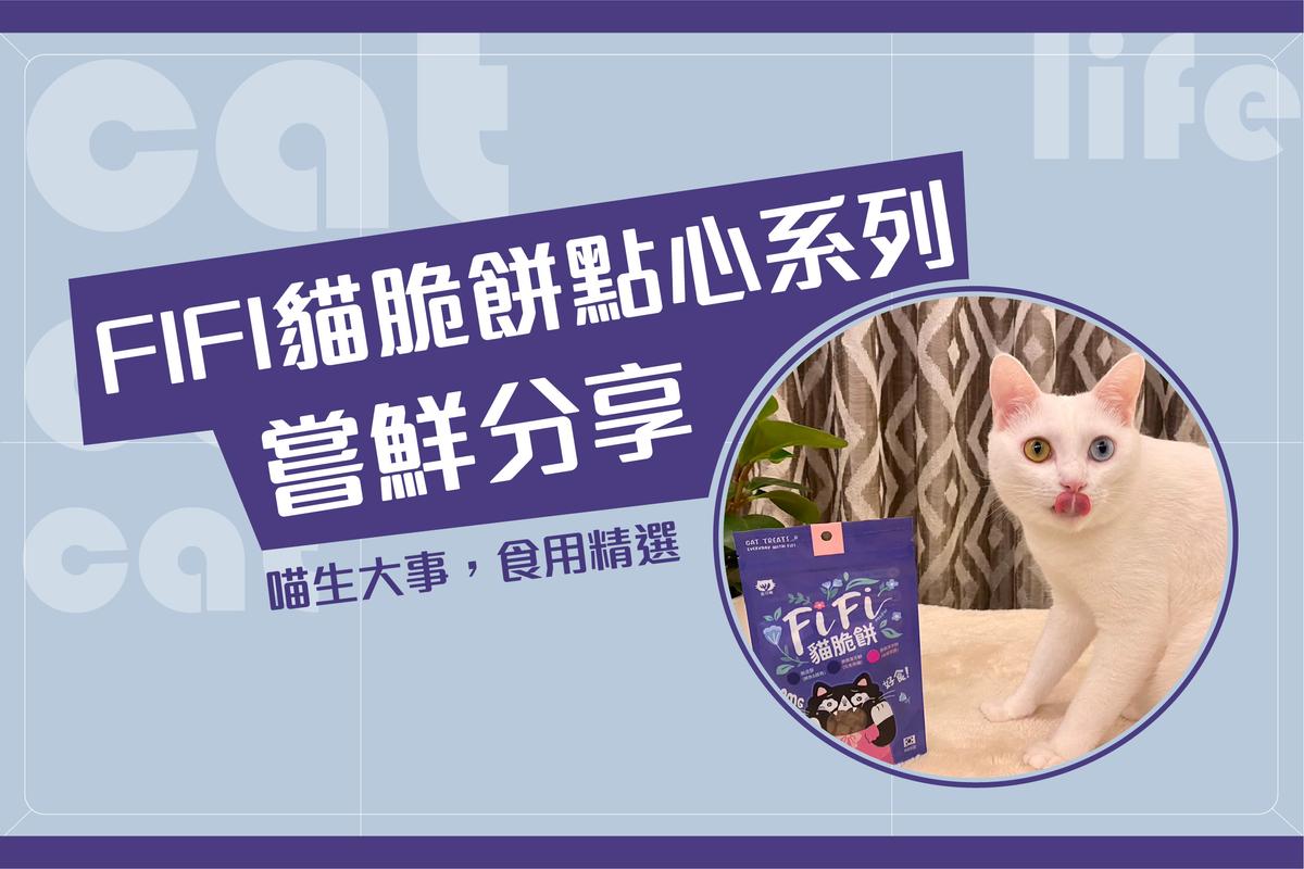 Discover the Delicious and Healthy Korean Kimil Eel FIFI Cat Crispy Snack Series