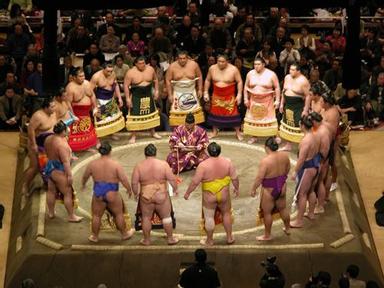 至高無上的榮耀 日本國技相撲二三事 方格子