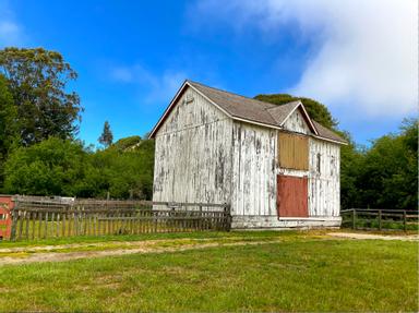 地板下的小地獄 方格子
