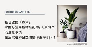 北歐風植物搭配原則有哪些 讓我告訴你 方格子