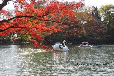 掰青的東京 3 做人要學吉祥寺 方格子