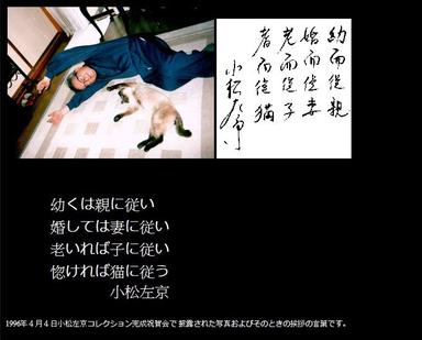 與貓咪談戀愛的小說家們 小說世界裡貓咪的勝利 方格子