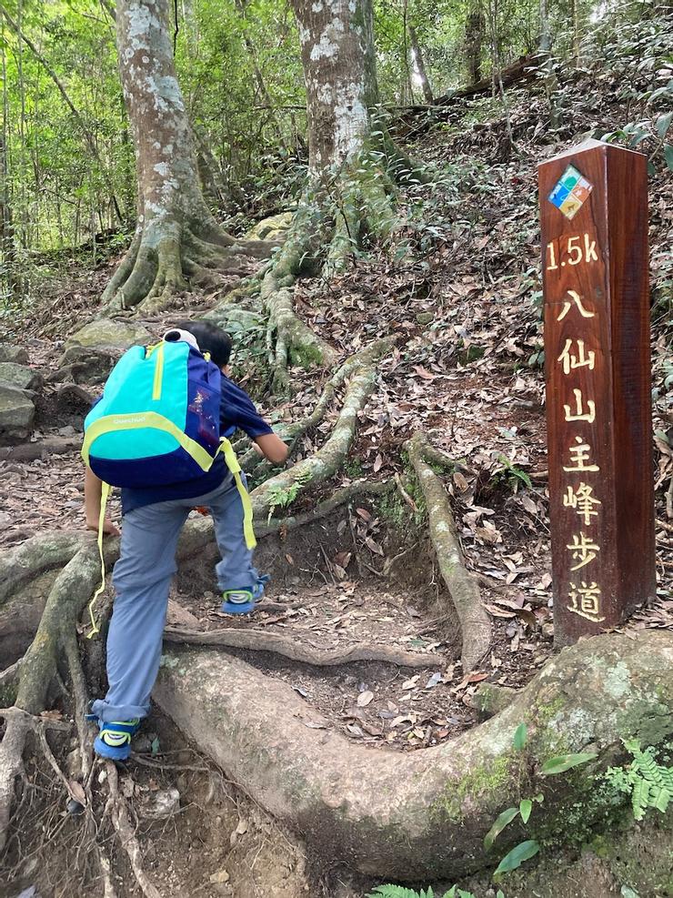 resize?url=https%3A%2F%2Fimages.vocus.cc%2F2be68d5e-a45f-445f-be6e-b8f4a41ba299.jpeg&width=740&sign=wCfjwiuGY65Cda3cblgxhlAjtHtAm_ksC6G5Su20Y_E