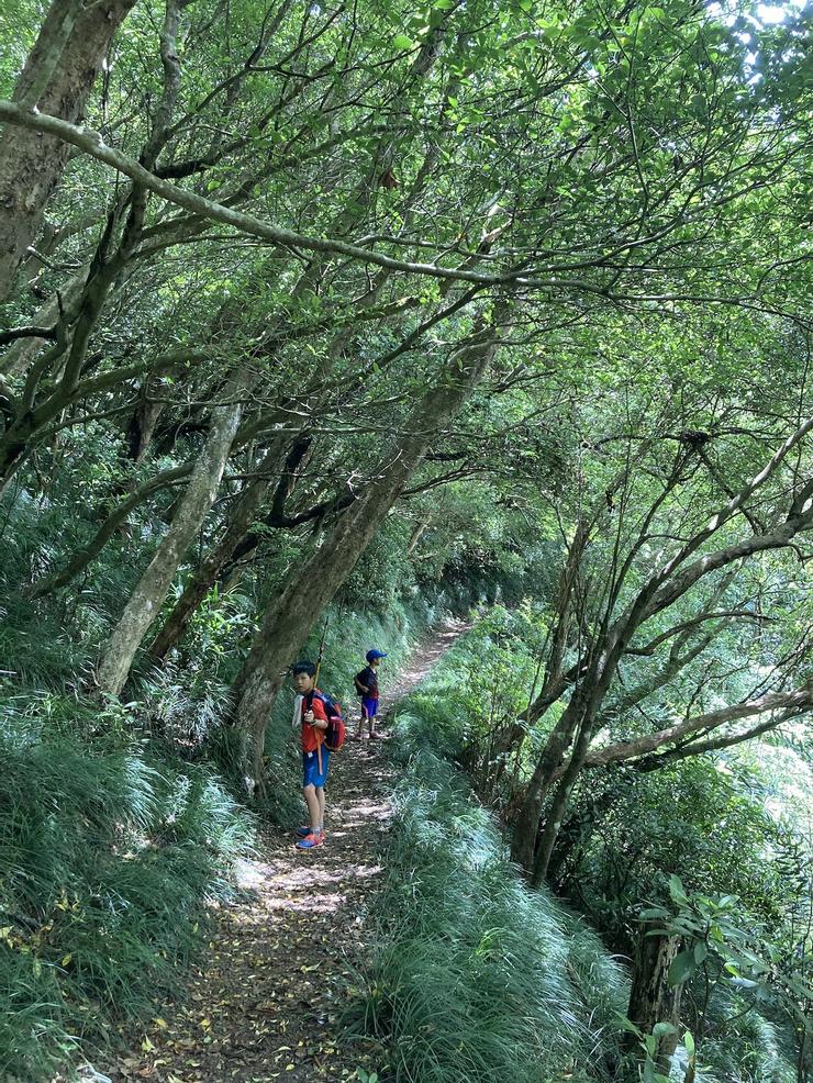 resize?url=https%3A%2F%2Fimages.vocus.cc%2F3acfba01-f3df-4760-a636-4acdf1d74b80.jpg&width=740&sign=D7SftlE6Vy0qFzEhogEtcxDm1G8lfcoEMEG6YAuJLYo