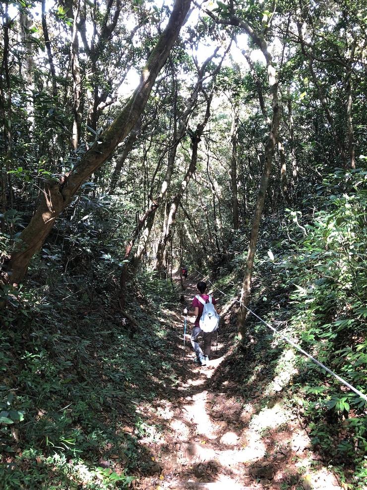 resize?url=https%3A%2F%2Fimages.vocus.cc%2Fa17fba42-e3b3-478a-acb1-a40131921e1d.jpg&width=740&sign=YWunPpCXN9fMt5GowPz_Rs4H3jSF3wDzxlcKeC88q6o